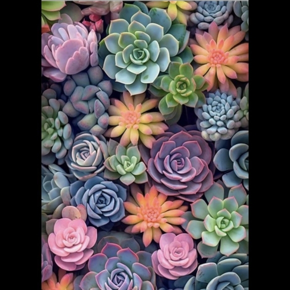 None Other - Succulent Garden 5D Diamond Painting Kit New